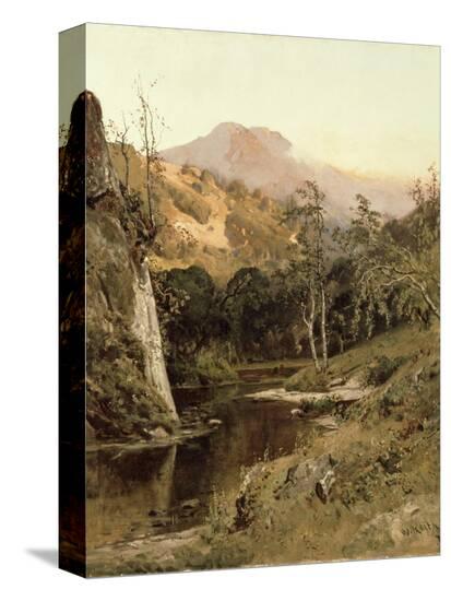 Stretched Canvas Print, , large