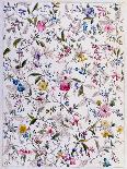 Dandelion-William Kilburn-Stretched Canvas