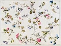 Wild Flowers Design for Silk Material, C.1790-William Kilburn-Framed Giclee Print