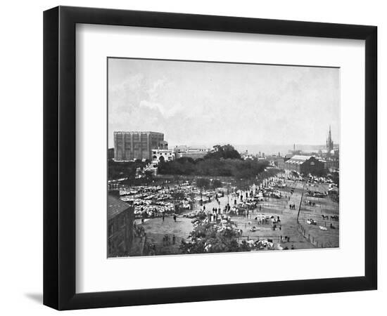Photographic Print, , large