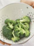 Freshly Washed Broccoli Florets in Sieve-William Lingwood-Mounted Photographic Print