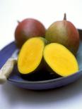 Mangos, One Cut Open-William Lingwood-Stretched Canvas