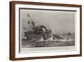 Brown Frame