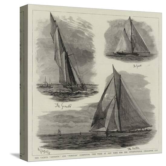 Stretched Canvas Print, , large