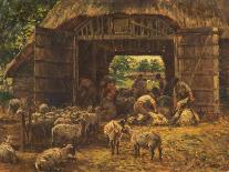 Sheep Shearing, 1892-William Mark Fisher-Stretched Canvas