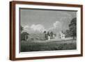 Brown Frame