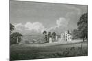 Wood Mount