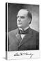 William Mckinley, 25th President of the United States, 1896-null-Stretched Canvas