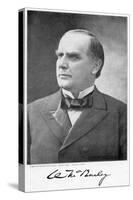 William Mckinley, 25th President of the United States, 1896-null-Stretched Canvas