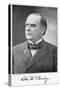 William Mckinley, 25th President of the United States, 1896-null-Stretched Canvas