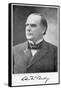 William Mckinley, 25th President of the United States, 1896-null-Framed Stretched Canvas