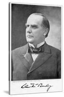 William Mckinley, 25th President of the United States, 1896-null-Stretched Canvas