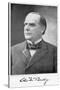 William Mckinley, 25th President of the United States, 1896-null-Stretched Canvas