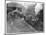 William Mckinley the Assassinated Presidents Funeral Train Leaving Buffalo-null-Mounted Photographic Print