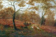 Bolton Woods, Yorkshire-William Mellor-Stretched Canvas