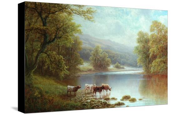 Stretched Canvas Print, , large