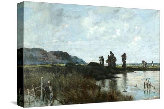 Stretched Canvas Print, , large