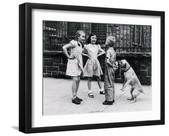 Photographic Print, , large