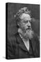 William Morris, English Artist, Writer, Socialist Activist and Pioneer of Eco-Socialism-Emery Walker-Stretched Canvas