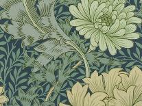 'Bird and Pomegranate' Wallpaper Design, printed by John Henry Dearle-William Morris-Giclee Print