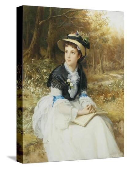 Stretched Canvas Print, , large