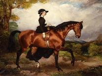 Portrait of Mrs. Thomas Conolly, Seated Side-Saddle in a Black Riding Habit on a Chestnut Hunter-William Osborne-Framed Stretched Canvas