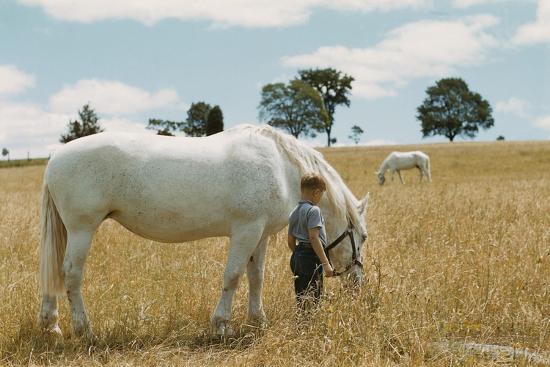 Photographic Print, , large