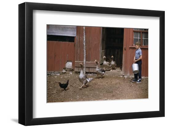 Photographic Print, , large