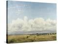 Stretched Canvas