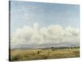 Stretched Canvas