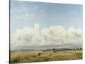 Stretched Canvas