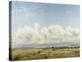 Stretched Canvas