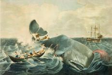 Capturing a Sperm Whale-William Page-Giclee Print