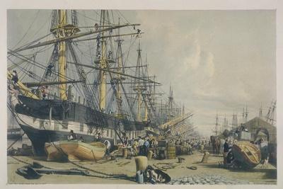 View of West India Docks from the South East, 1840