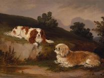 Landscape with Spaniel and Terrier, 1846-William Pascoe-Mounted Giclee Print