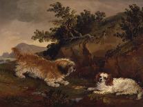 Landscape with Spaniel and Terrier, 1846-William Pascoe-Framed Stretched Canvas