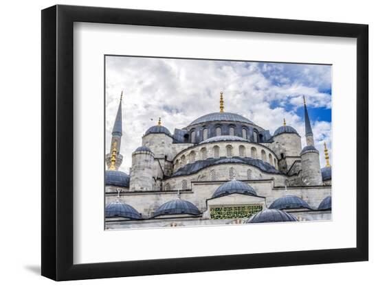 Premium Photographic Print, , large