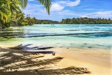 Colorful Hauru Point beach palm trees, Moorea, Tahiti, French Polynesia.-William Perry-Laminated Photographic Print