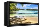 Canvas Black