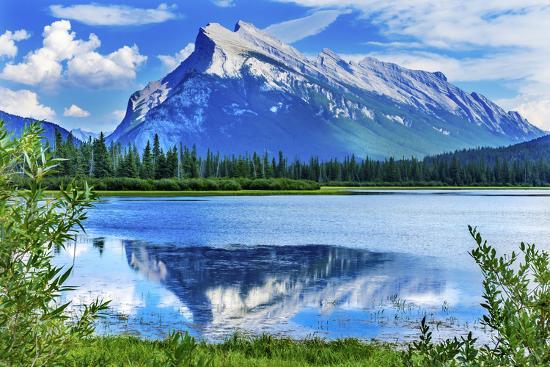Premium Photographic Print, , large