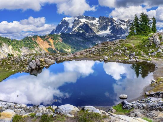 Photographic Print, , large