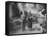 William Randolph Hearst and Mrs. Burton Holmes at San Simeon Estate with Boston Bull Terrier-William Davis-Framed Stretched Canvas