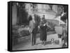 William Randolph Hearst and Mrs. Burton Holmes at San Simeon Estate with Boston Bull Terrier-William Davis-Framed Stretched Canvas