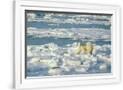 Gramercy White