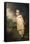 William Scott-Elliot of Arkelton (1811–1901)-Sir Henry Raeburn-Framed Stretched Canvas