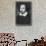 William Shakespeare, English Playwright-null-Framed Stretched Canvas displayed on a wall