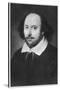 William Shakespeare, English Playwright-null-Stretched Canvas