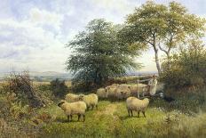 Changing Pastures-William Shayer Sr.-Stretched Canvas