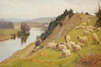 A Riverside Pasture with Sheep