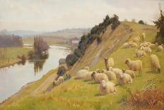 A Riverside Pasture with Sheep-William Sidney Cooper-Stretched Canvas